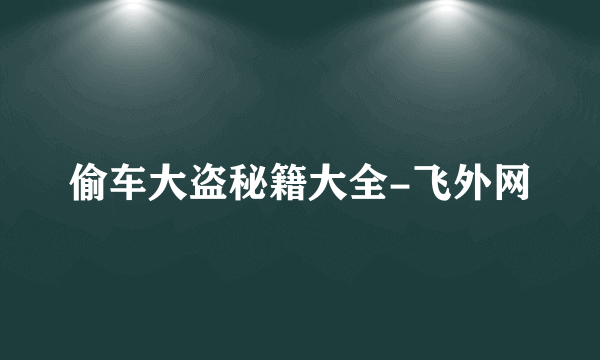 偷车大盗秘籍大全-飞外网