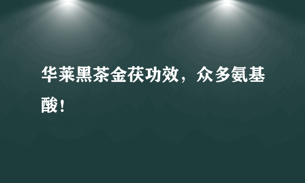 华莱黑茶金茯功效，众多氨基酸！