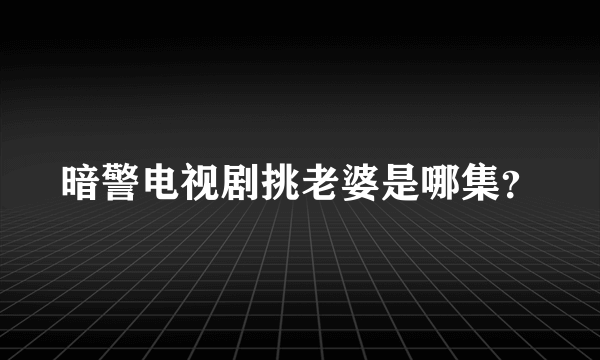 暗警电视剧挑老婆是哪集？