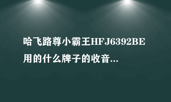 哈飞路尊小霸王HFJ6392BE用的什么牌子的收音机,fm怎么不能调频啊