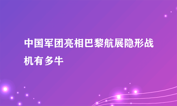 中国军团亮相巴黎航展隐形战机有多牛