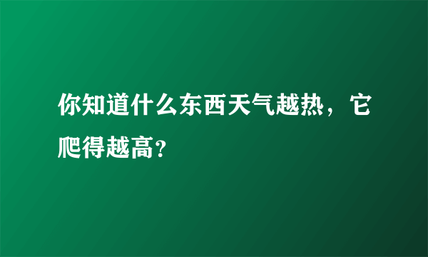 你知道什么东西天气越热，它爬得越高？