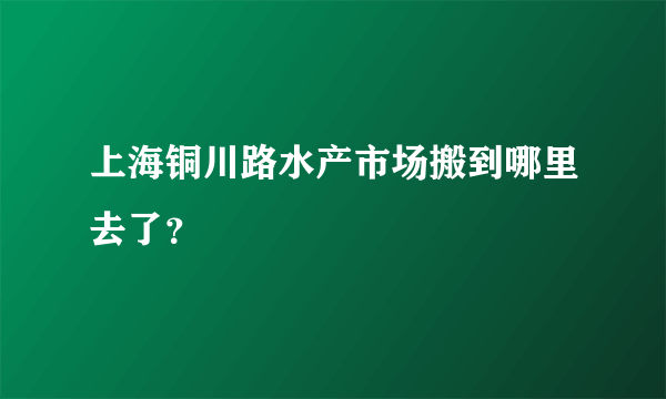 上海铜川路水产市场搬到哪里去了？