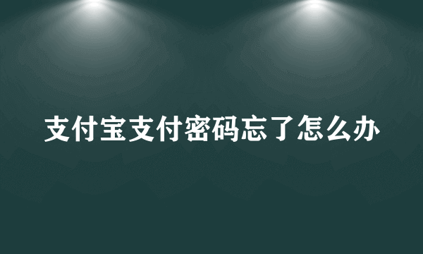 支付宝支付密码忘了怎么办