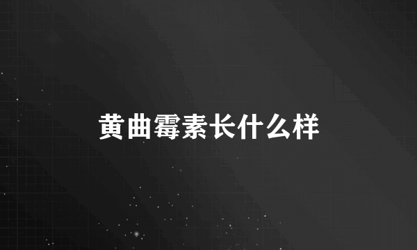 黄曲霉素长什么样