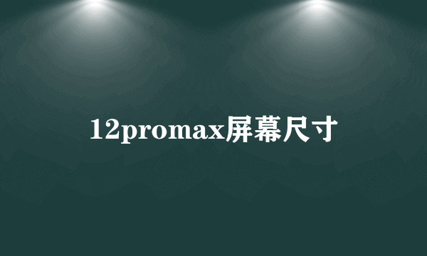 12promax屏幕尺寸