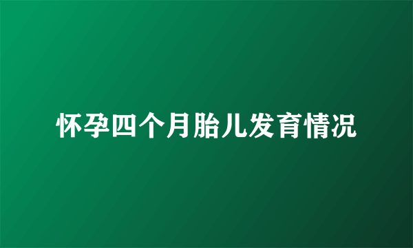 怀孕四个月胎儿发育情况