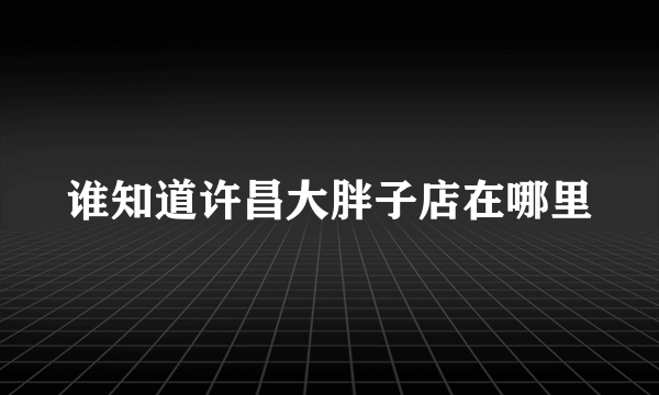 谁知道许昌大胖子店在哪里