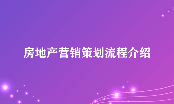 房地产营销策划流程介绍