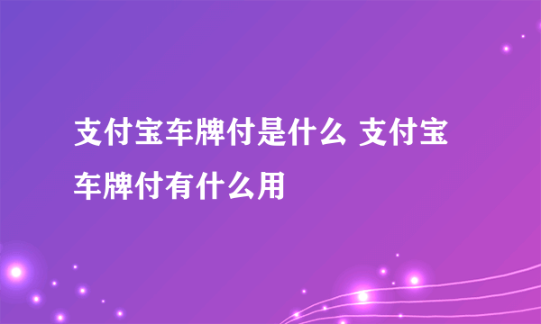 支付宝车牌付是什么 支付宝车牌付有什么用