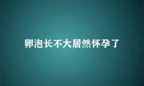 卵泡长不大居然怀孕了