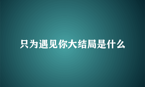 只为遇见你大结局是什么