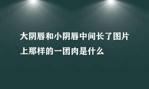 大阴唇和小阴唇中间长了图片上那样的一团肉是什么