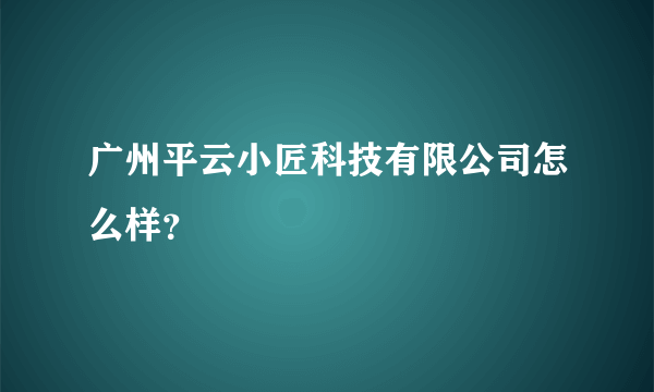 广州平云小匠科技有限公司怎么样？