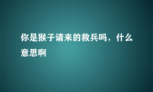 你是猴子请来的救兵吗，什么意思啊