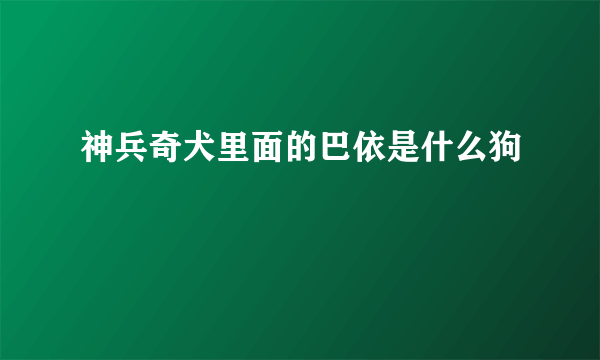 神兵奇犬里面的巴依是什么狗