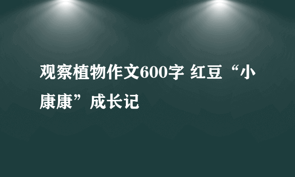 观察植物作文600字 红豆“小康康”成长记