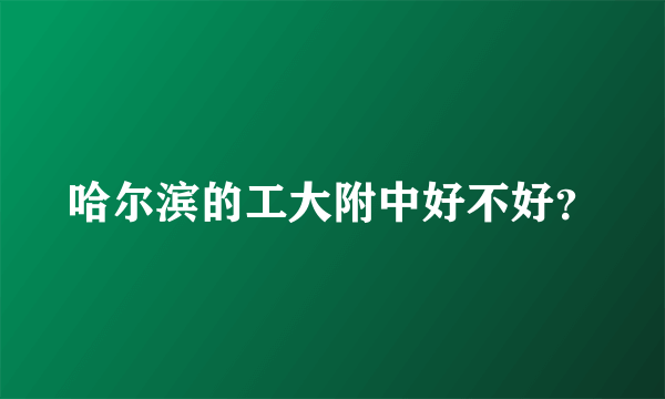 哈尔滨的工大附中好不好？