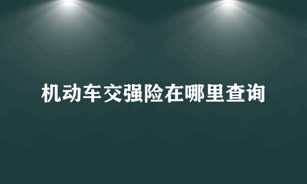 机动车交强险在哪里查询