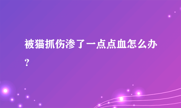 被猫抓伤渗了一点点血怎么办？