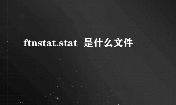 ftnstat.stat  是什么文件