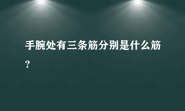 手腕处有三条筋分别是什么筋？