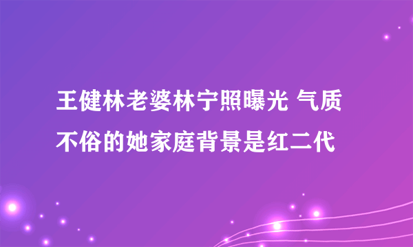 王健林老婆林宁照曝光 气质不俗的她家庭背景是红二代