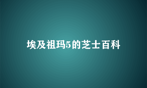 埃及祖玛5的芝士百科