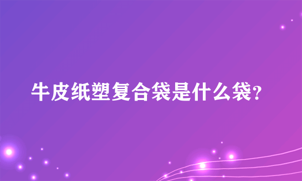 牛皮纸塑复合袋是什么袋？