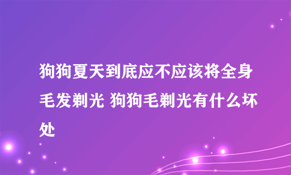 狗狗夏天到底应不应该将全身毛发剃光 狗狗毛剃光有什么坏处