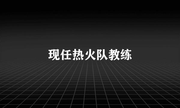 现任热火队教练