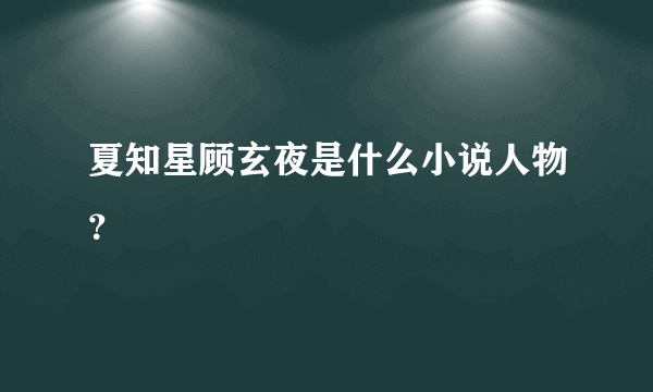 夏知星顾玄夜是什么小说人物？