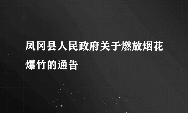 凤冈县人民政府关于燃放烟花爆竹的通告