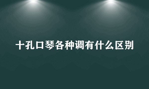 十孔口琴各种调有什么区别