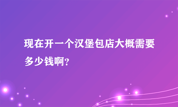 现在开一个汉堡包店大概需要多少钱啊？