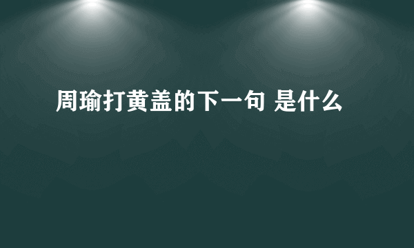 周瑜打黄盖的下一句 是什么