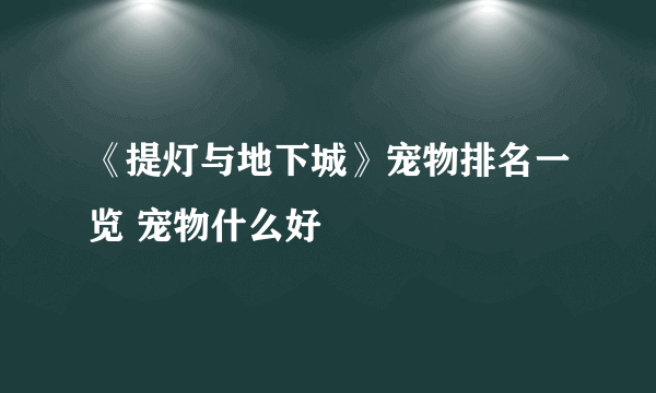 《提灯与地下城》宠物排名一览 宠物什么好