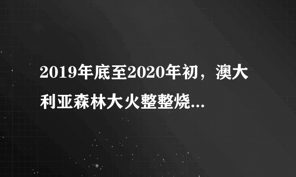 2019年底至2020年初，澳大利亚森林大火整整烧了多少个月才熄灭？