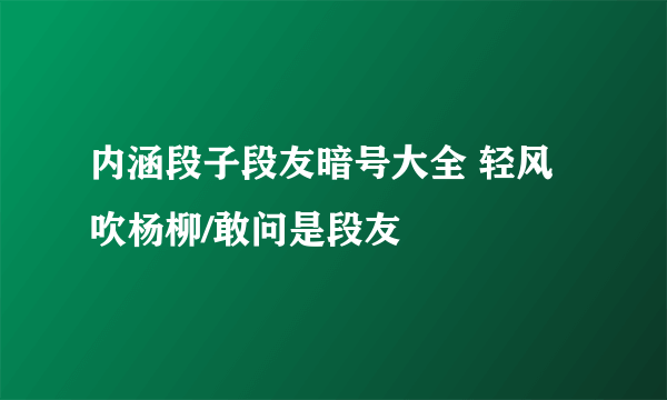 内涵段子段友暗号大全 轻风吹杨柳/敢问是段友