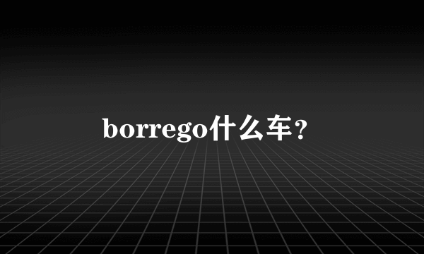 borrego什么车？