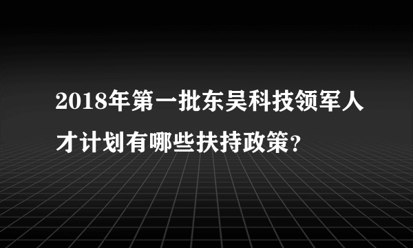 2018年第一批东吴科技领军人才计划有哪些扶持政策？