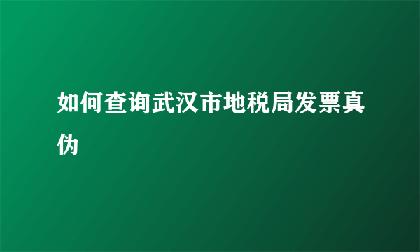 如何查询武汉市地税局发票真伪