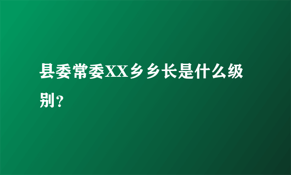 县委常委XX乡乡长是什么级别？