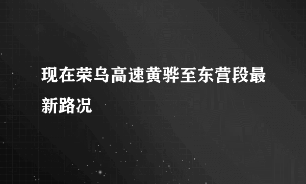 现在荣乌高速黄骅至东营段最新路况