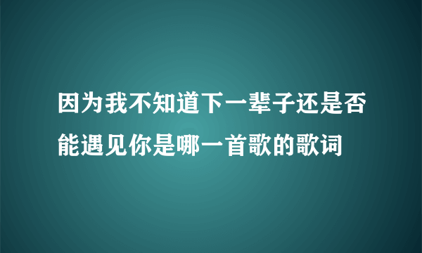 因为我不知道下一辈子还是否能遇见你是哪一首歌的歌词