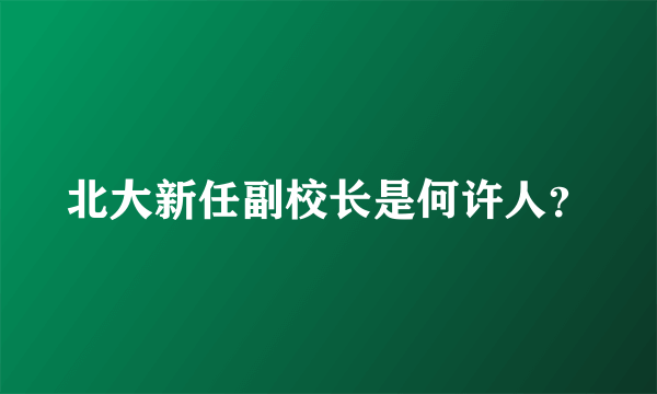 北大新任副校长是何许人？