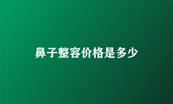 鼻子整容价格是多少