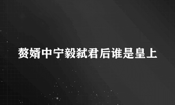 赘婿中宁毅弑君后谁是皇上