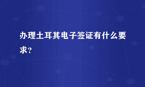 办理土耳其电子签证有什么要求？