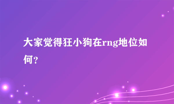 大家觉得狂小狗在rng地位如何？